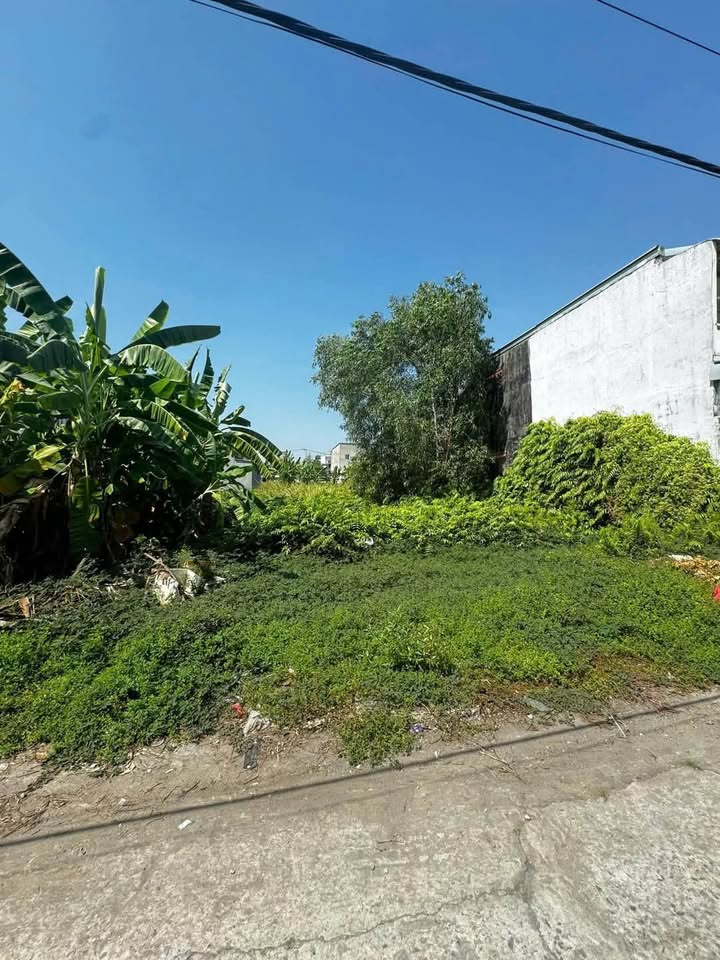 Đất thổ cư Củ Chi 317m² giá 4.5 tỷ - Gần rạch cây xanh, mặt tiền đường bê tông!