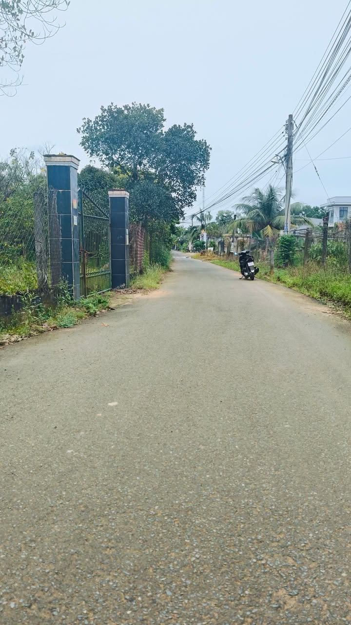 Đất thổ cư 11160m² xã An Phước, Long Thành giá 4 tỷ - Sổ riêng chính chủ!