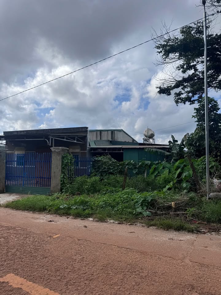 Đất nền 1200m² tại xã Quảng Trực, Tuy Đức, giá chỉ 1.35 tỷ - Sổ đỏ chính chủ!