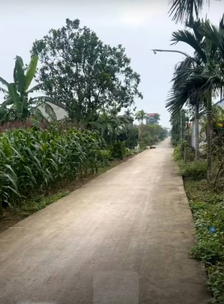 Đất thổ cư 192m² Xóm 5 Nam Điền, Nghĩa Hưng chỉ 1.25 tỷ - Sổ hồng chính chủ!