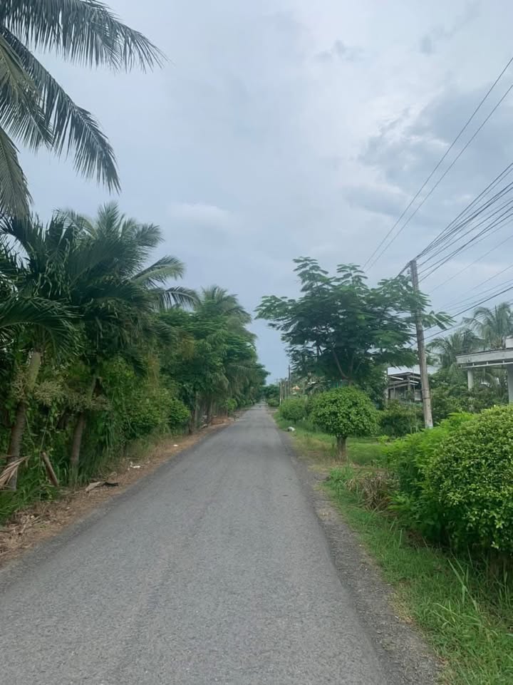 Đất nền Mỹ Hoà, Ba Tri 500m² giá 1.75 tỷ - Thích hợp xây nhà lâu dài!