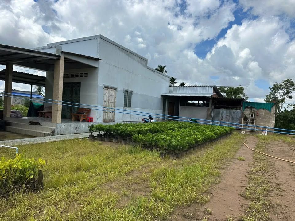 Đất nền Phú Sơn Chợ Lách 735m² giá 750 triệu - Đầu tư sinh lời nhanh chóng!