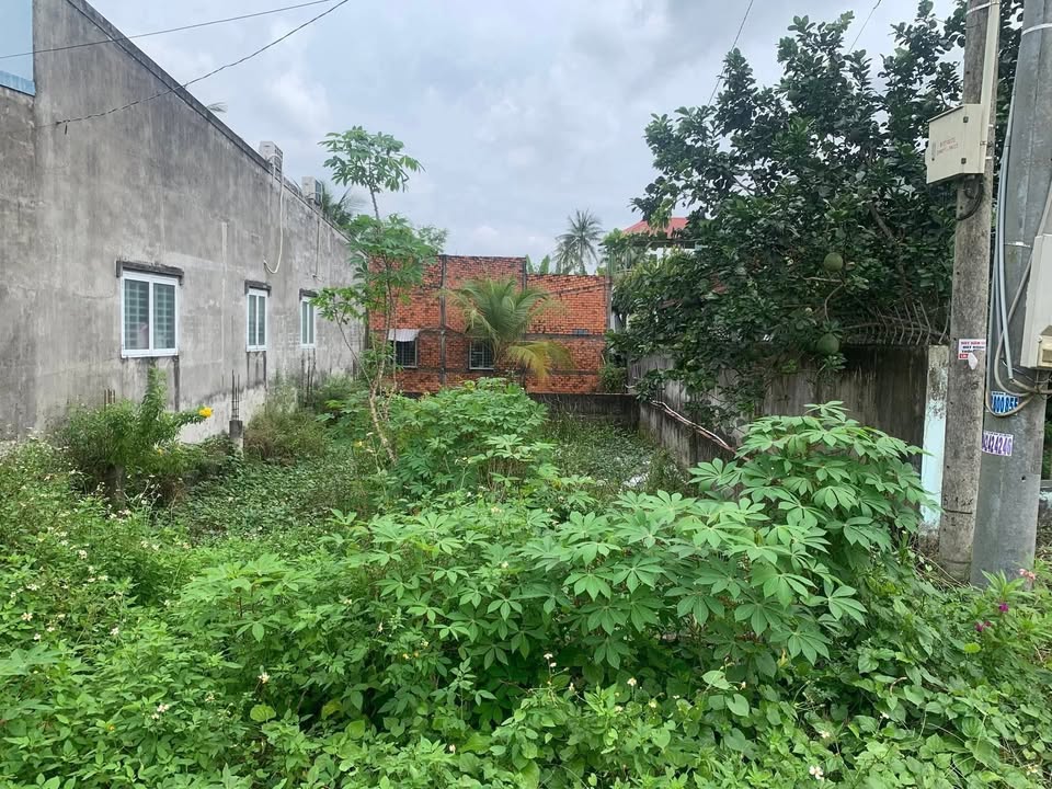 Đất nền mặt tiền Quốc lộ 57, xã Tân Bình, 200m² giá 1.6 tỷ - Cơ hội đầu tư tuyệt vời!