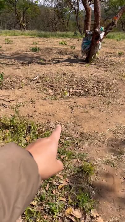 Đất nông nghiệp 1.4ha tại Ia Grăng, giá 1.9 tỷ - Đầu tư sinh lời ngay!