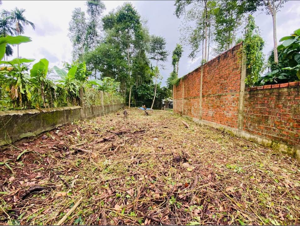 Đất Kiệt 106 Lê Ngô Cát, Thủy Xuân 62m² giá 1.15 tỷ - Đường ô tô vào tận nơi!