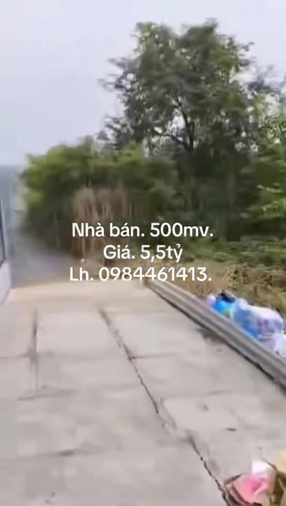 Nhà vườn 300m² ấp 1 xã Hưng Long Bình Chánh giá chỉ 5.5 tỷ - Cơ hội đầu tư lý tưởng!