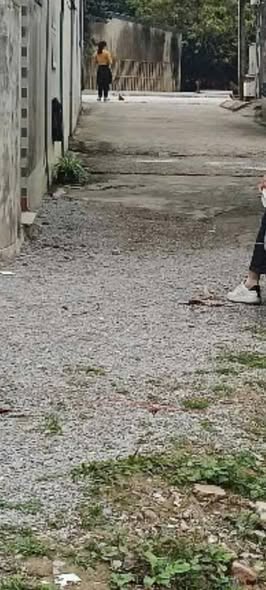 Đất nền Quảng Thắng 104m² giá 1.35 tỷ - Cơ hội đầu tư tuyệt vời!