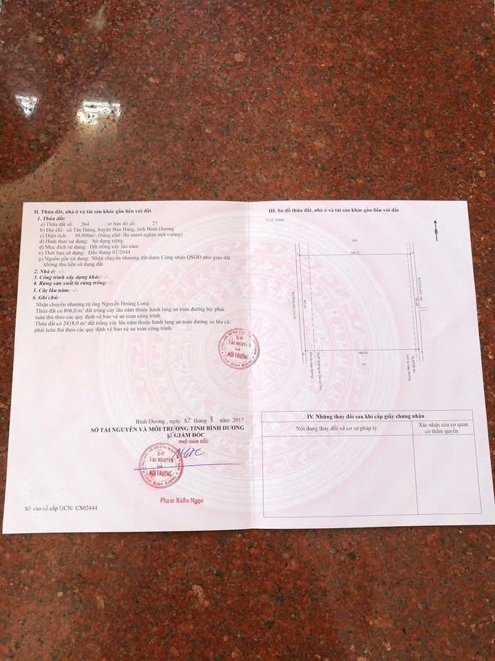 Đất nền 3ha tại Tân Hưng, Bàu Bàng - Giá tốt hợp tác ngay!