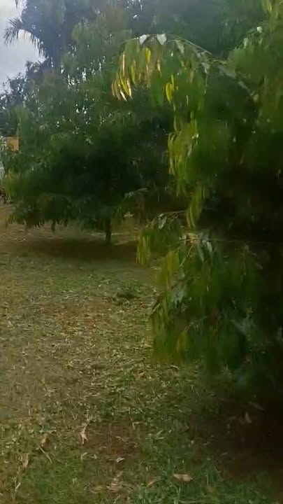 Đất làm nhà vườn phường Hòa Thắng 1425m² giá 4.5 tỷ - Cơ hội đầu tư tuyệt vời!