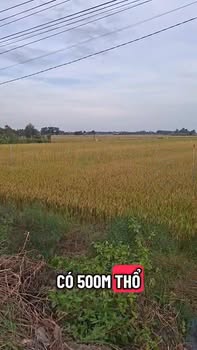 Đất mặt tiền đường 785, Ấp Tân Trung A, Tây Ninh 4180m² giá 41.8 tỷ - Đầu tư sinh lời ngay!