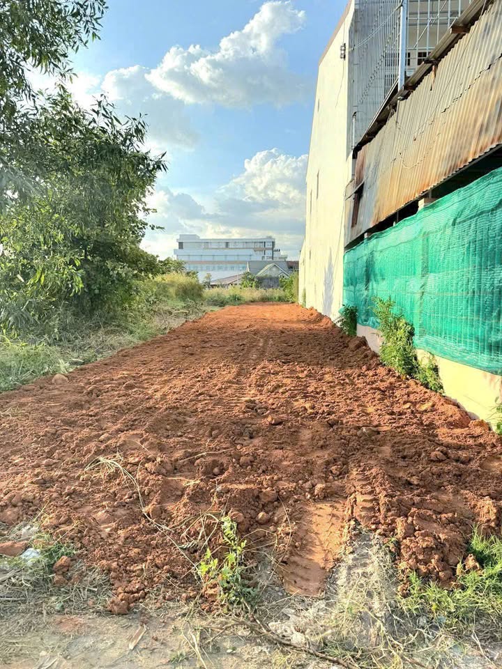 Đất đẹp mặt tiền đường Nam Kỳ Khởi Nghĩa, Tây Ninh 240m² - Đầu tư sinh lời ngay!