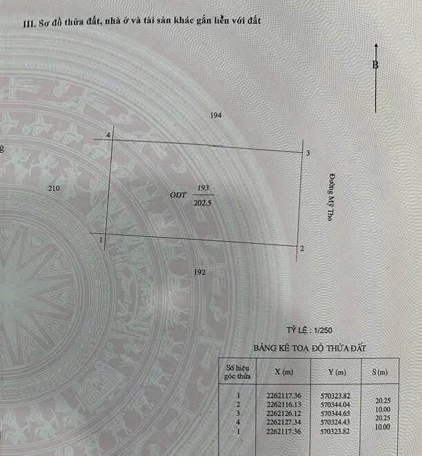 Đất Biệt Thự Đẹp Mặt Đường Mỹ Tho, Nam Định - 202m² Giá Chỉ 12.1 Tỷ