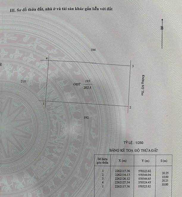 Đất biệt thự mặt đường Mỹ Tho, Nam Định 202m² giá 12.1 tỷ - Vị trí đẹp, đường rộng rãi!