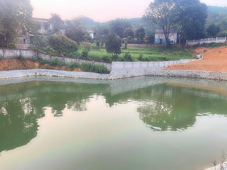 Đất vườn Vân Hòa Ba Vì 9600m² giá 4 tỷ - Đầu tư sinh lời tuyệt vời!