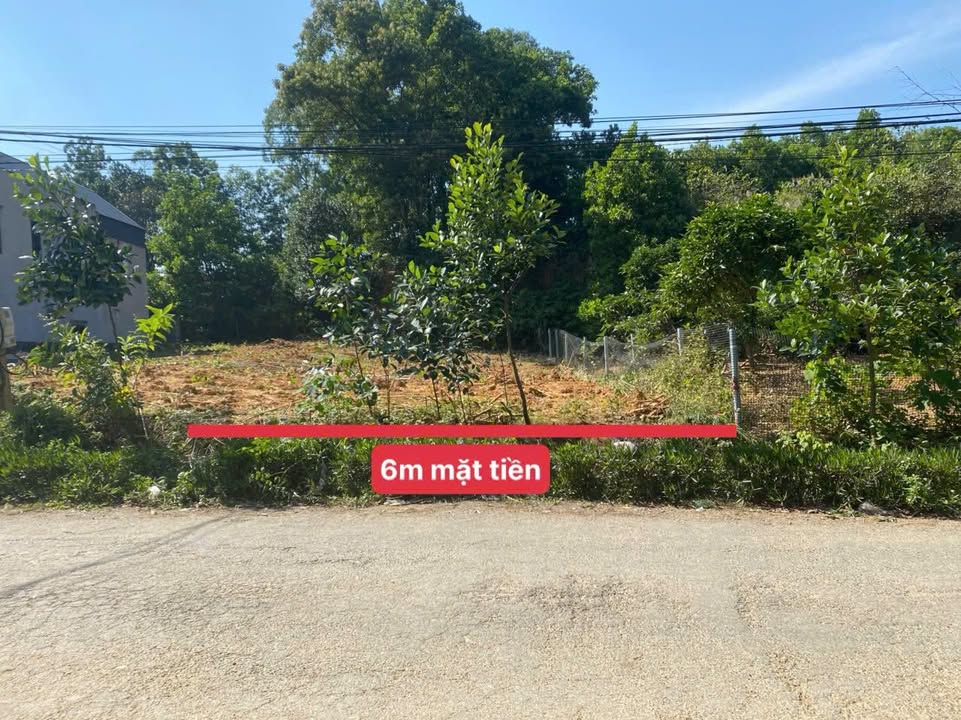 Đất thổ cư 120m² tại xã Phú Mỹ - Giá chỉ 800 triệu!