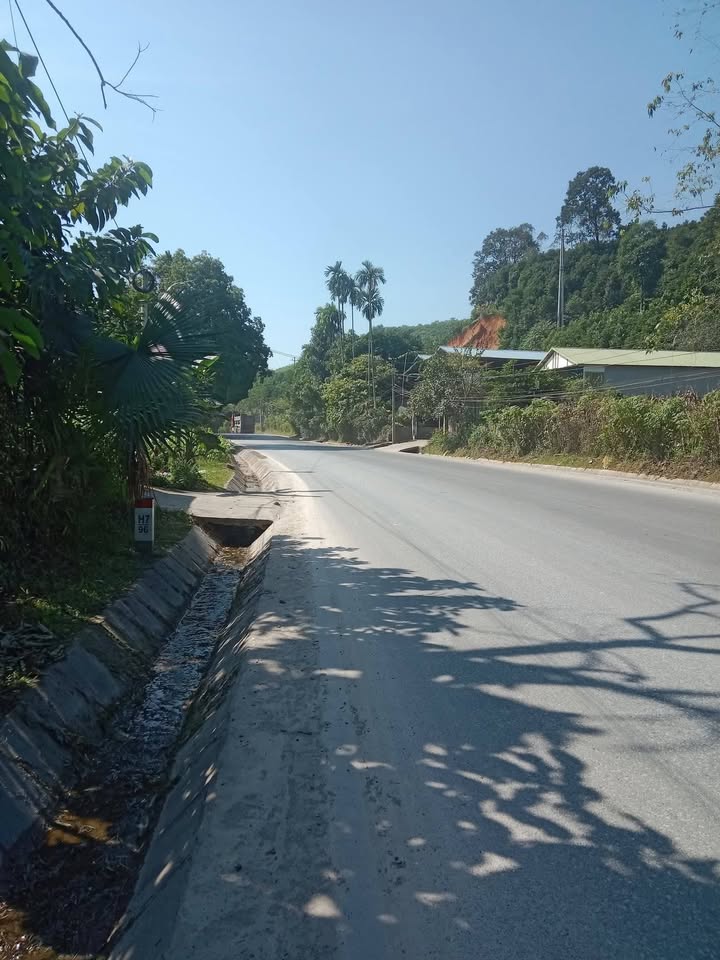 Đất nền Phú Thịnh Yên Bình 112m² giá 300 triệu - Tiềm năng đầu tư lớn!