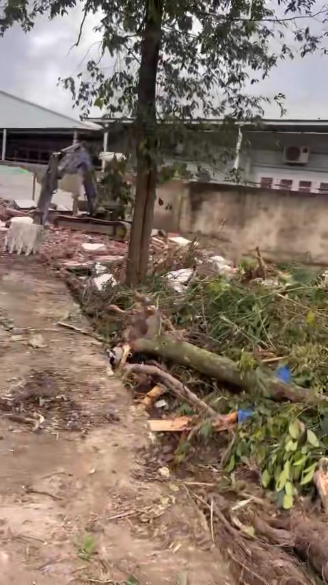 Đất nền Tân Vĩnh Hiệp, Tân Uyên 1800m² giá 12.5 tỷ - Đầu tư sinh lời ngay!