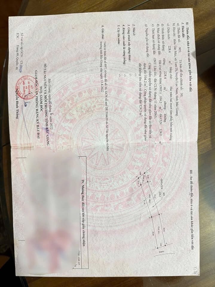 Đất nền Lục Nam Bắc Giang 228m² giá 1 tỷ - Đầu tư sinh lời ngay!