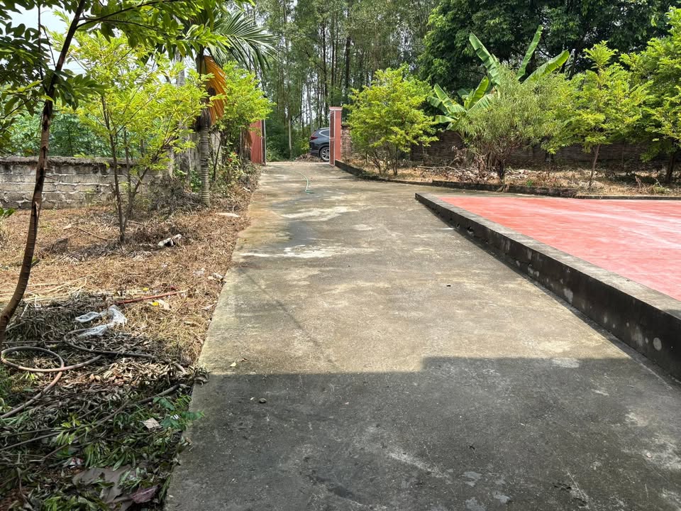 Đất vườn tại Chu Hóa - Việt Trì 900m² giá 4 tỷ - Sẵn nhà kiên cố!