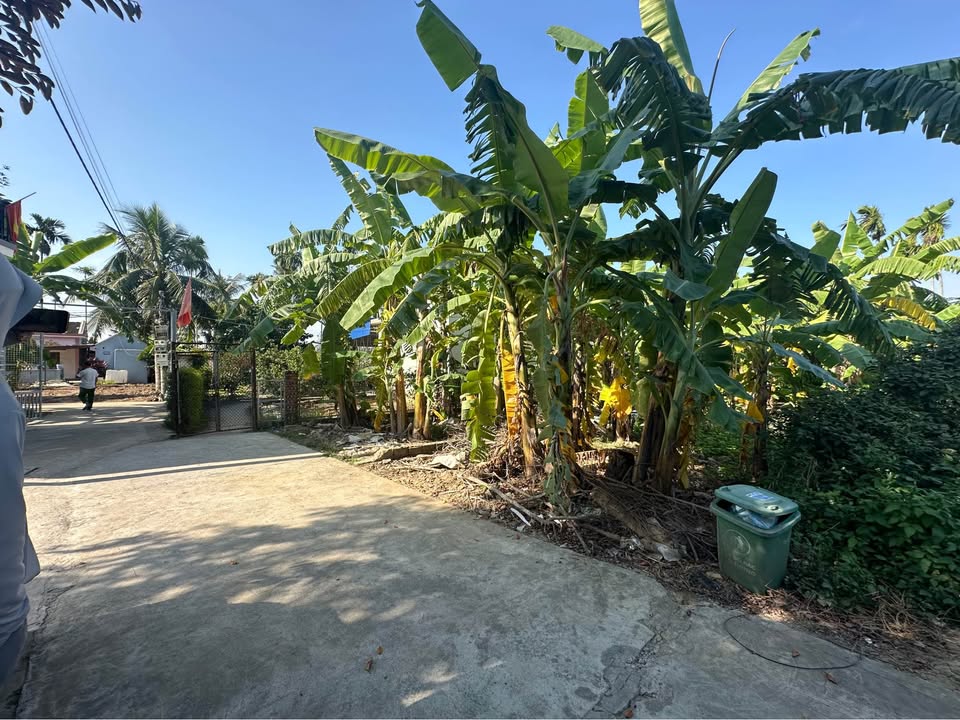 Đất nền Lâm Động, Thủy Nguyên 100m² giá 1,75 tỷ - Sổ đỏ chính chủ, tiện ích đầy đủ!