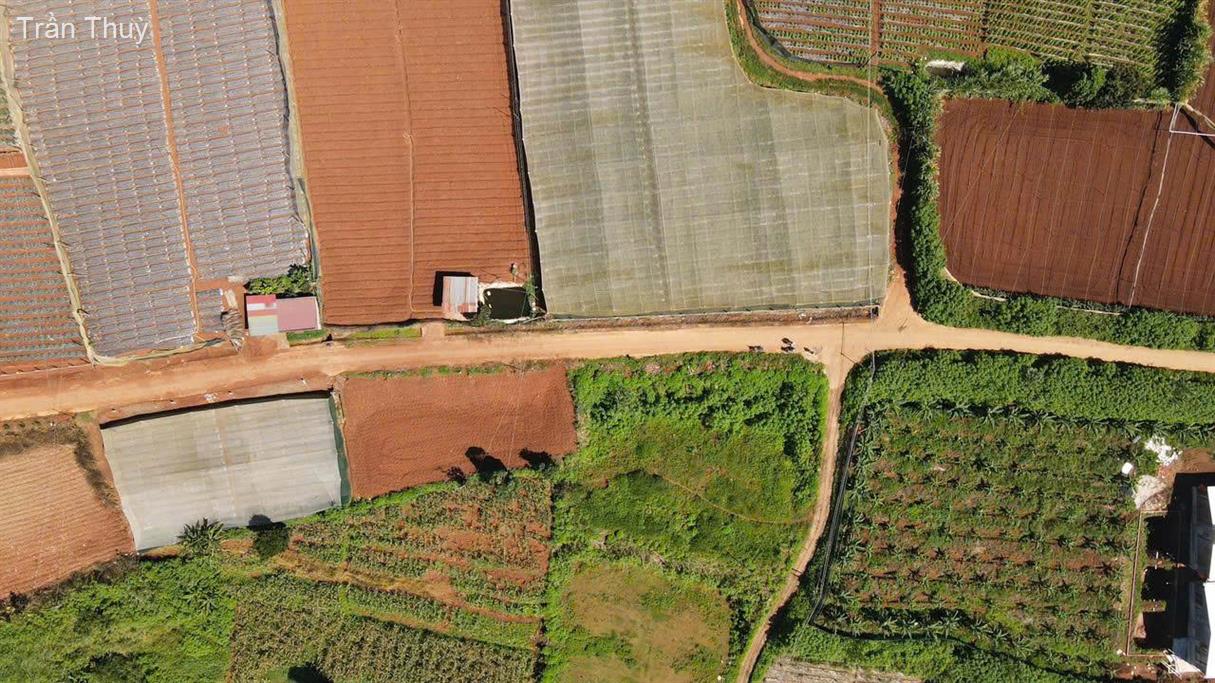 Đất sổ riêng Quảng Lập 303m² - Cơ hội đầu tư sinh lời lý tưởng!