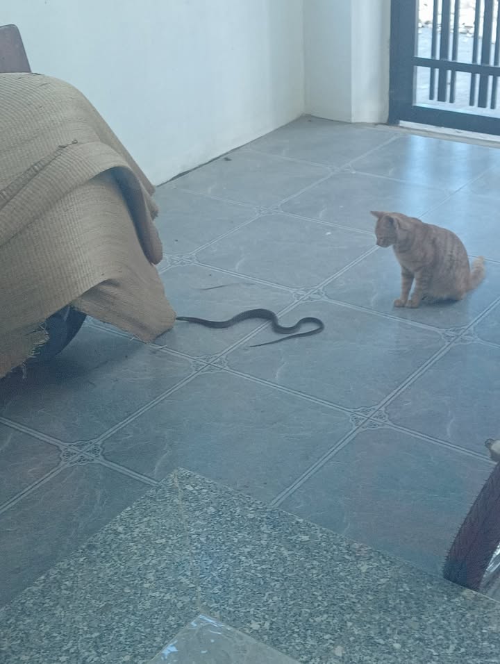 Đất thổ cư Lưỡng Vượng Tuyên Quang 450m² giá 1xx triệu - Tiềm năng phát triển lớn!