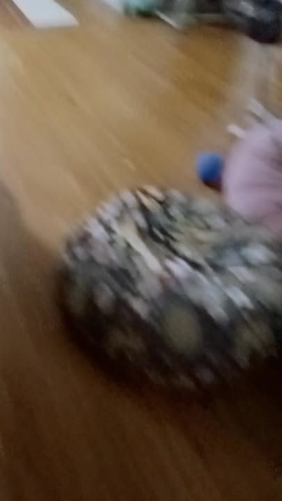 Đất nền phường Tân Phú quận Cái Răng 560m² - Sổ đỏ chính chủ, giá thỏa thuận!