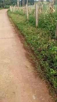 Đất nền Ea Tóh Krông Năng 450m² giá chỉ 150 triệu - Đầu tư sinh lời ngay!