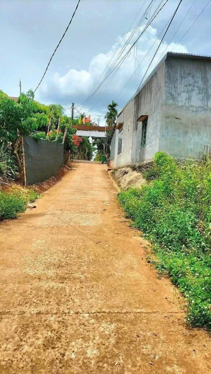 Đất nền Phú Xuân 120m² giá chỉ 400 triệu - Đầu tư sinh lời ngay!