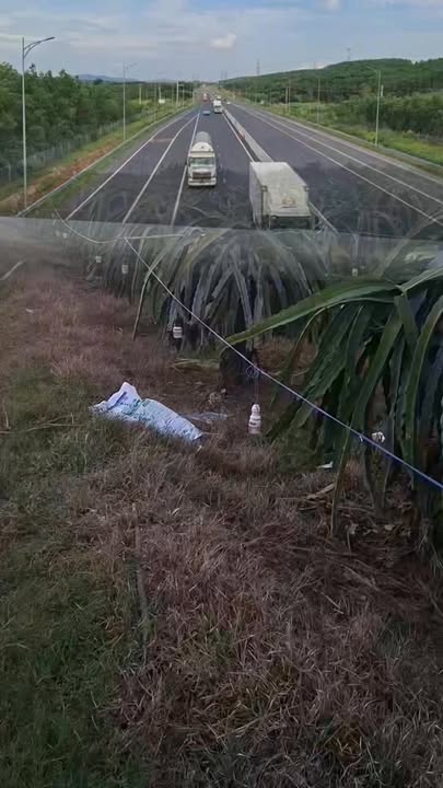 Đất vườn Hàm Kiệm, Bình Thuận 4.331,2m² giá 628 triệu - Cơ hội đầu tư tuyệt vời!