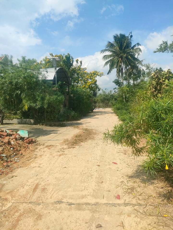 Đất nền Khuê Trung, Cẩm Lệ 115m² giá 1 tỷ - Cơ hội đầu tư tuyệt vời!