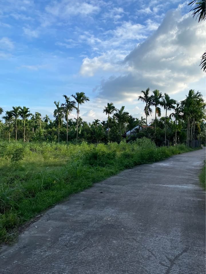 Đất nền Hành Thuận 400m² giá 550 triệu - Vị trí đắc địa gần tiện ích!