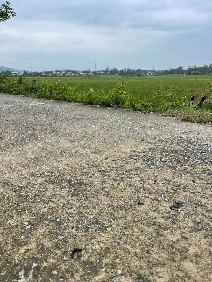 Đất ở đô thị Tam Kỳ 143m² giá 1.2 tỷ - Thương lượng hấp dẫn!