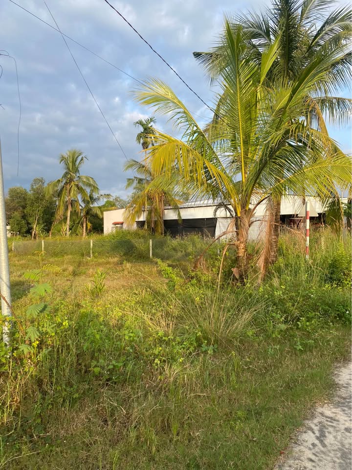 Đất thổ cư mặt tiền đường bê tông Phú Điền 135m² giá 520 triệu - Cơ hội đầu tư tuyệt vời!