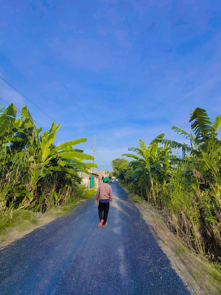 Đất nền đường Ông Kho, Mỹ Ngãi, 460m² giá 880 triệu - Đầu tư sinh lời tuyệt vời!