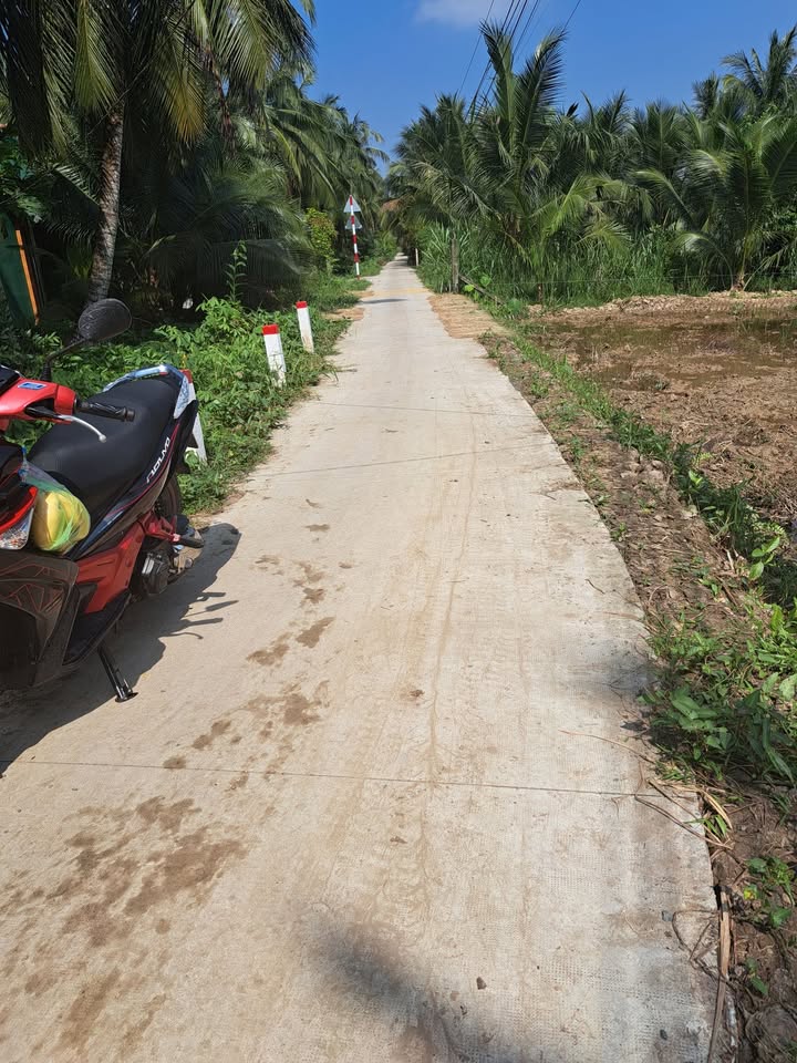 Đất thổ cư 1449m² tại ấp Hoà Lạc, Tiền Giang - Giá chỉ 220 triệu!