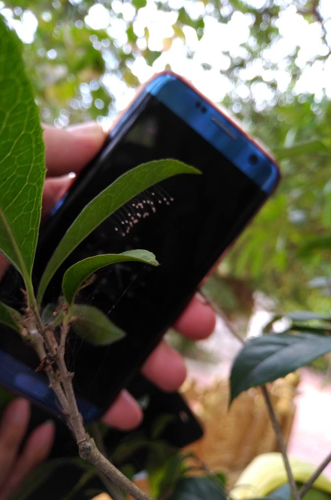 Đất chính chủ tại ngõ 106 Nguyễn Lương Bằng, 57m² giá 2 tỷ - Đầu tư sinh lời cao!