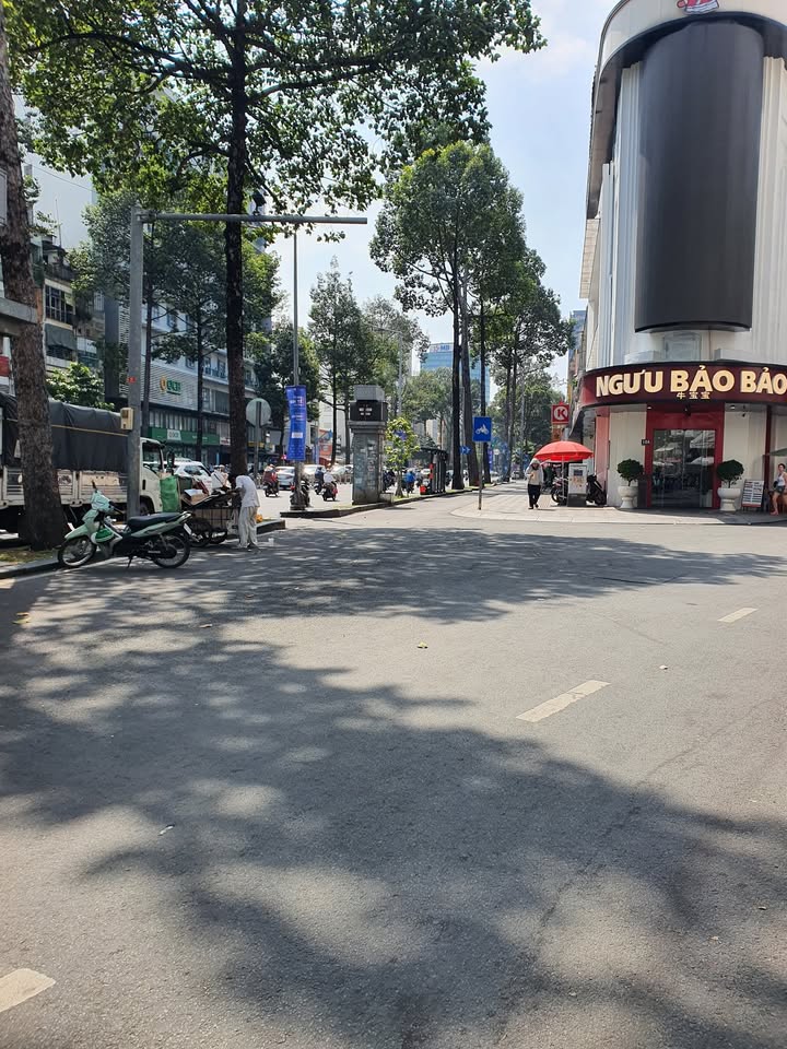 Nhà phố Bùi Viện Q1 24m² giá 6.3 tỷ - Vị trí kinh doanh đắc địa!