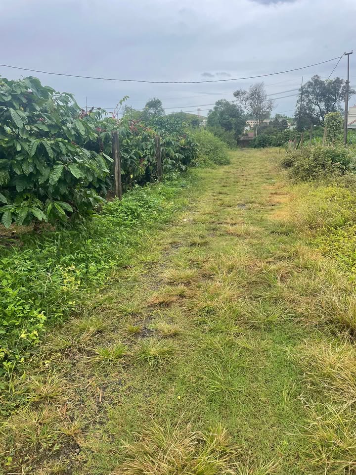 Đất hẻm Kí Con, Phường Thống Nhất, Pleiku 117.5m² - Hẻm ô tô thông thoáng, giá chỉ 800 triệu!