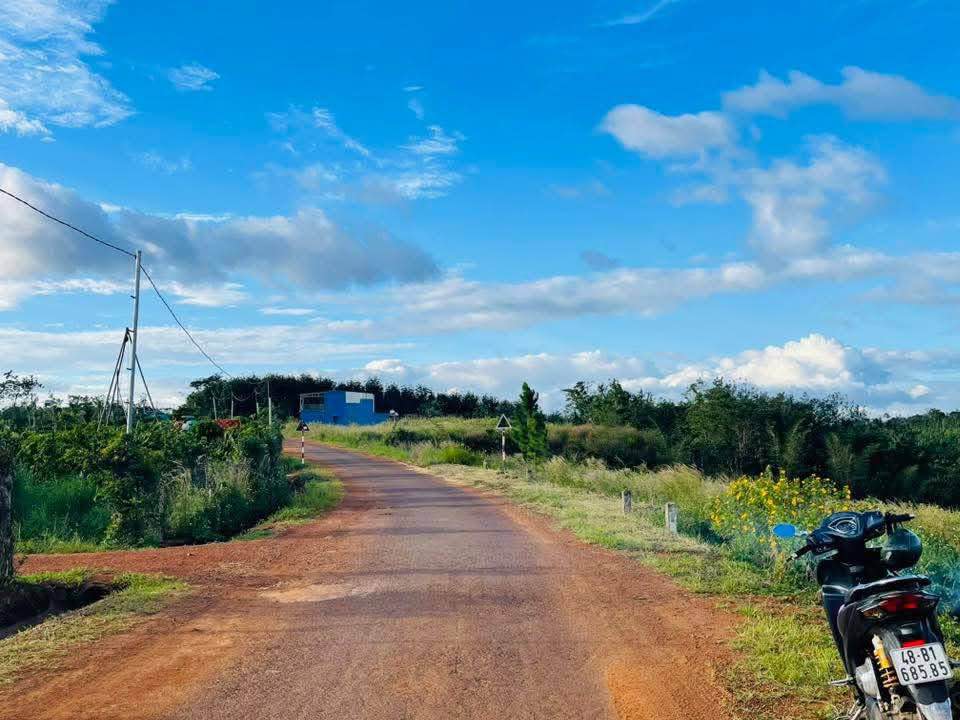 Đất thổ cư 2000m² mặt tiền đường nhựa Đắk Wer giá 690 triệu - Bớt lộc cho người thiện chí!