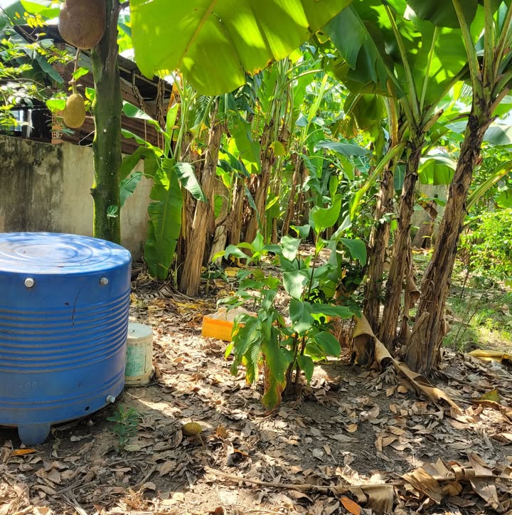 Đất nền 105m² xã Đông Thạnh, Hóc Môn - Giá 900 triệu, chính chủ thương lượng!