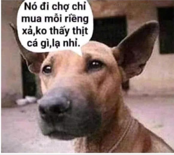 Nhà hẻm ô tô phường 13, Tân Bình 70m² - Cơ hội sở hữu nhà đẹp!