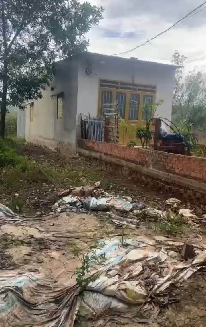 Nhà mới xây tại Tân Phước, Đồng Phú 150m² chỉ 500 triệu - Đầu tư sinh lời ngay!