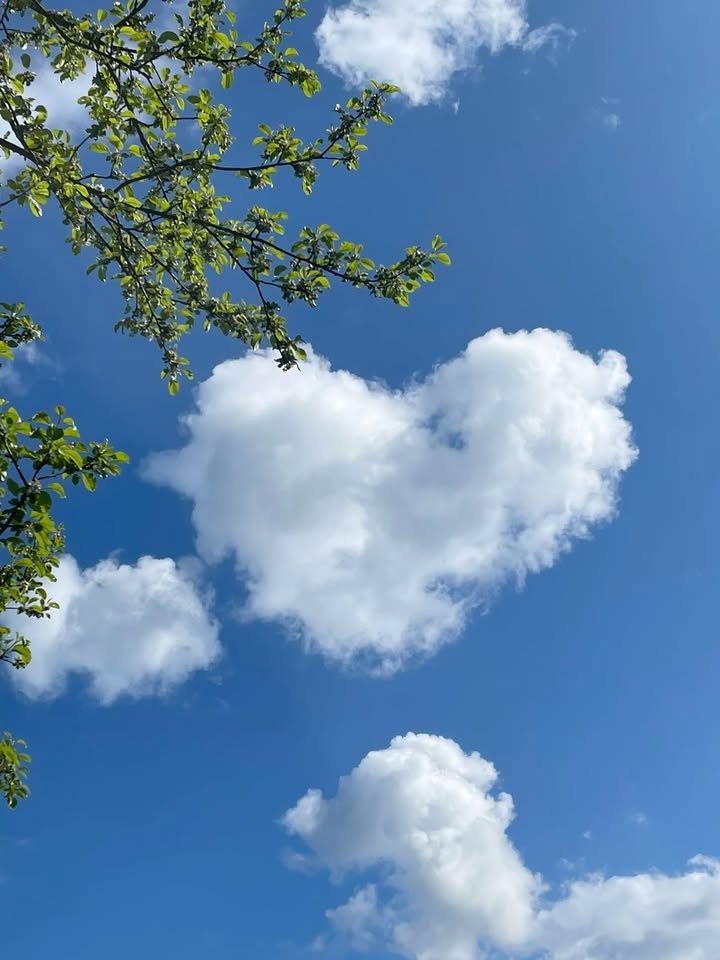 Căn hộ cho thuê Vinhomes Grand Park Thủ Đức - Giá từ 5 triệu - Sẵn sàng vào ở!