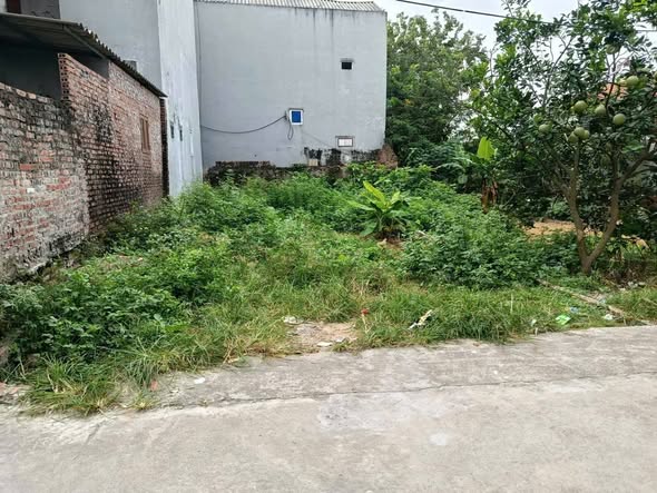 Đất nền khu phố Đông Cốc, phường Song Liễu, 107m² giá 3 tỷ - Cơ hội đầu tư nhanh chóng!