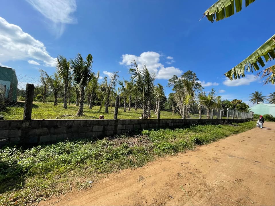 Đất nền phường Thống Nhất, Pleiku 140m² giá 1.812 tỷ - Đầu tư sinh lời ngay!