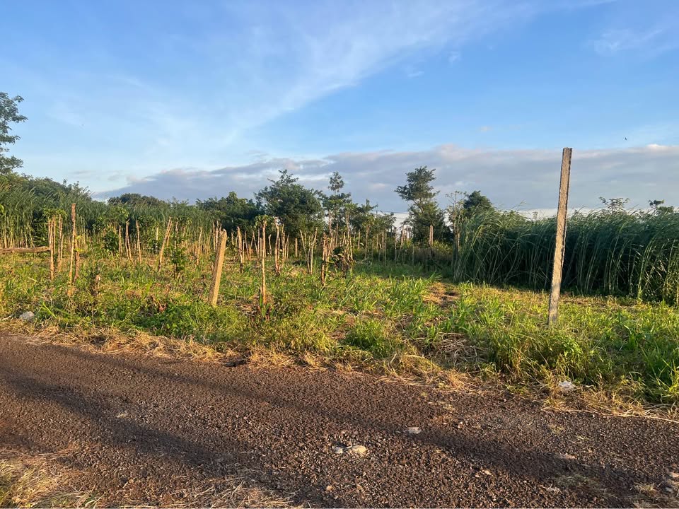 Đất thổ cư Hẻm 223 Ngô Quyền, Biển Hồ 155m² - Pháp lý rõ ràng, giá thỏa thuận!