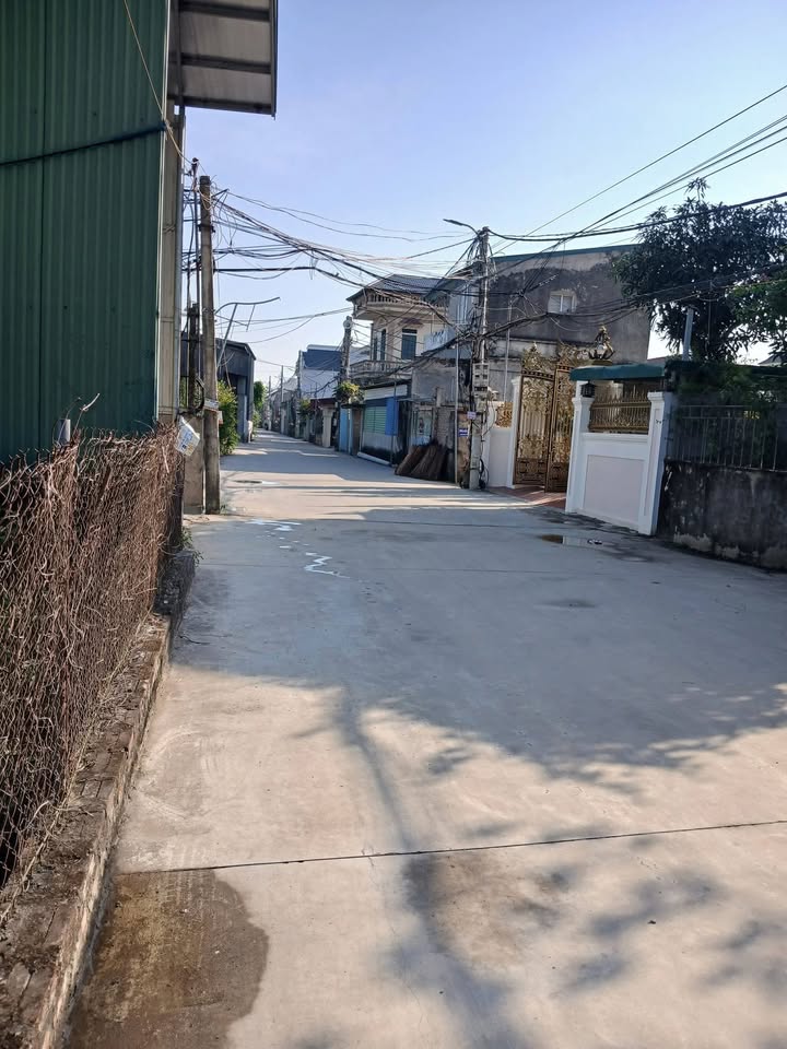 Đất Vân Tảo Thường Tín 100m² - Mặt Đường Ô Tô Tránh, Kinh Doanh Đẹp!