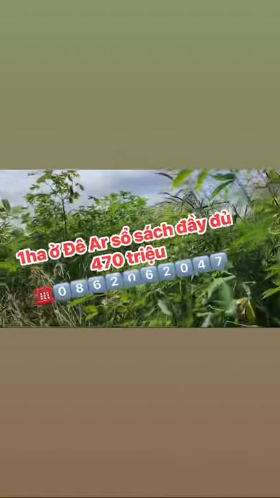 Đất nền Đê Ar, Mang Yang 9500m² giá 470 triệu - Sổ đỏ chính chủ, đầu tư sinh lời!