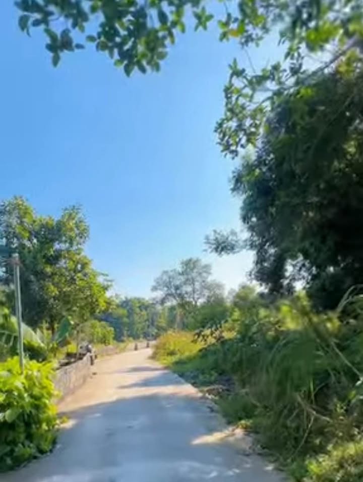 Đất nền Thịnh Đán 92.2m² giá 800 triệu - Cơ hội đầu tư tuyệt vời!